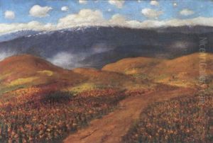 Lupine And Poppies On A Santa Barbara Trail