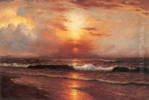 Shoreline At Sunset