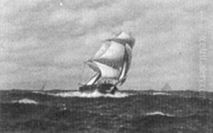Sailing Ship At Sea