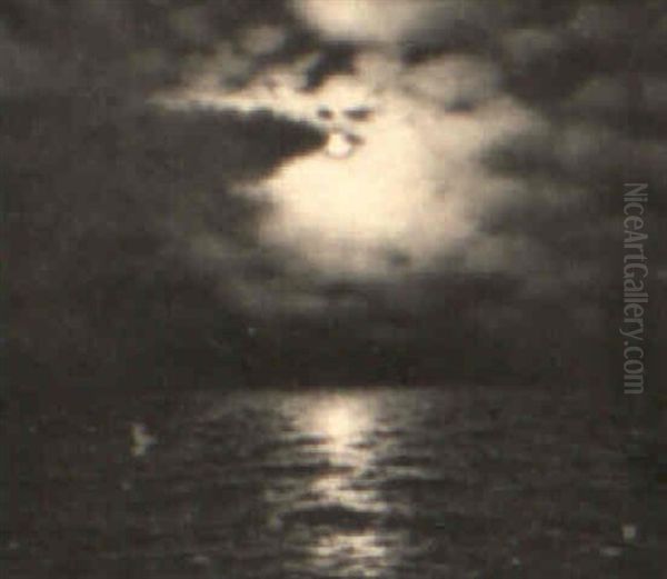 Moonlight Over The Water - view 1