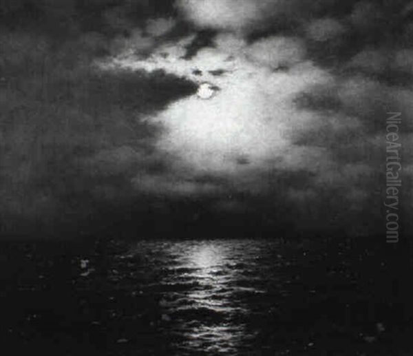 The Moonlit Sea - view 1