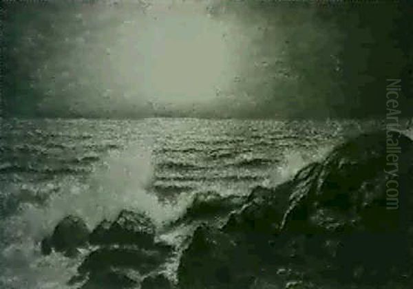 California Coast In Moonlight - view 1