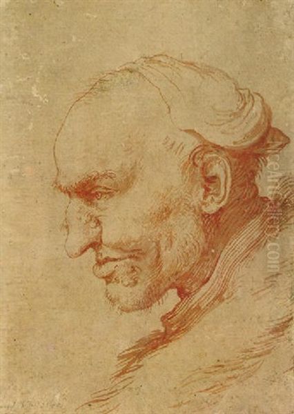 Head Of A Man, Seen In Profile - view 1