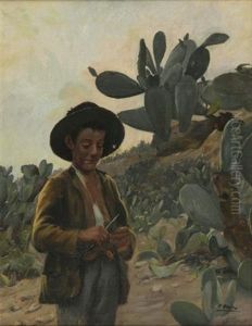 Jeune Garcon Dans Un Champ De Cactus Jeune Garcon Dans Un Champ De Cactus