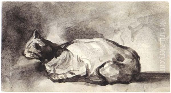 A Resting Cat - view 1