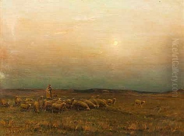 Shepherd And Flock - view 1