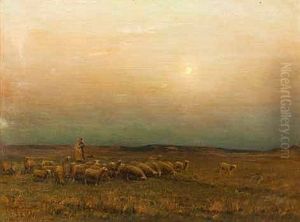 Shepherd And Flock