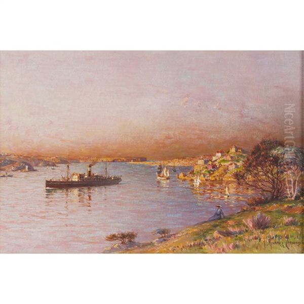 Sydney Harbour - view 1