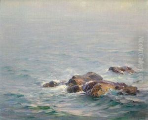 Vagues En Bretagne