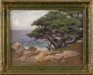 Coastal Landscape Coastal Landscape