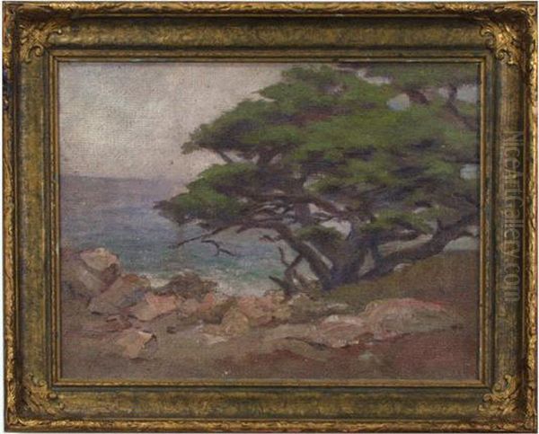 Carmel Coastline - view 1