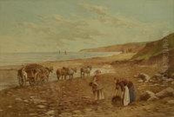 Collecting Seaweed - view 1