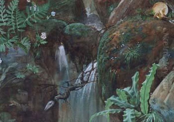 River Scene - view 1