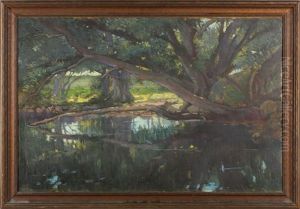 Forest Pond