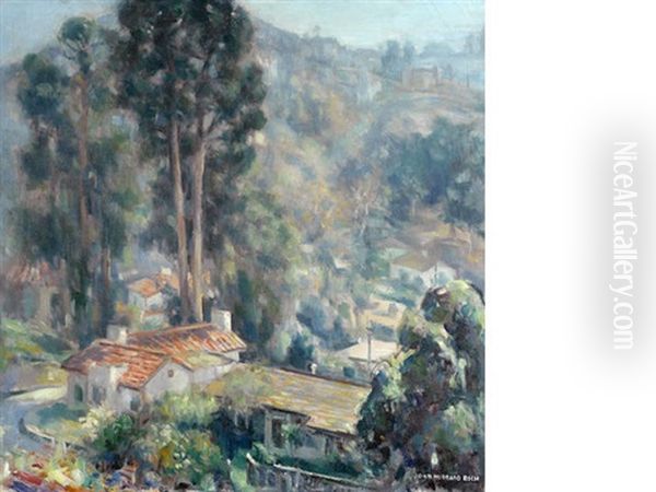 Hollywood Hills - view 1