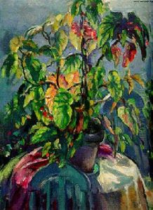 Still Life With Begonia