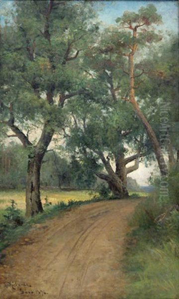 Road To Savo - view 1