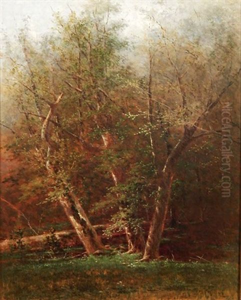 Early Fall Landscape - view 1