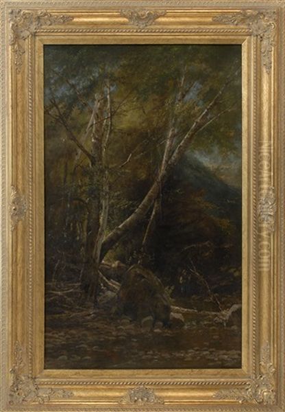 A Forest Interior - view 1