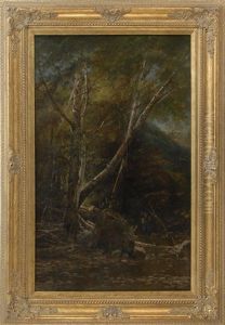 A Forest Interior