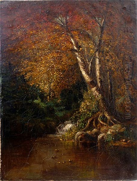 Head Of The Pond - view 1