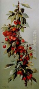 A Bough Of Cherries