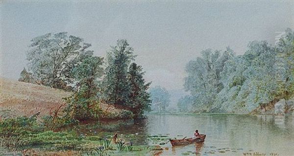 Forest Stream - view 1
