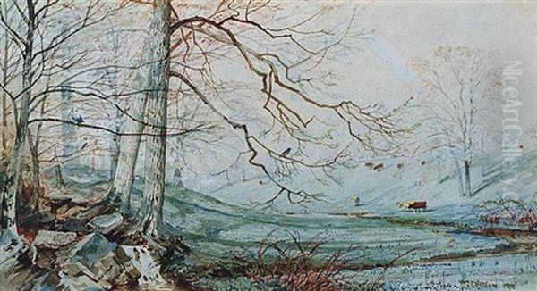 Forest Stream - view 1