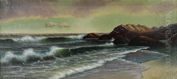 Waves Along The Coast - view 1