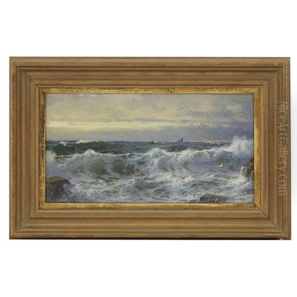 The Surf Near Beavertail Lighthouse - view 1