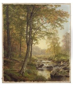 Cours D'eau Dans Un Sous-bois