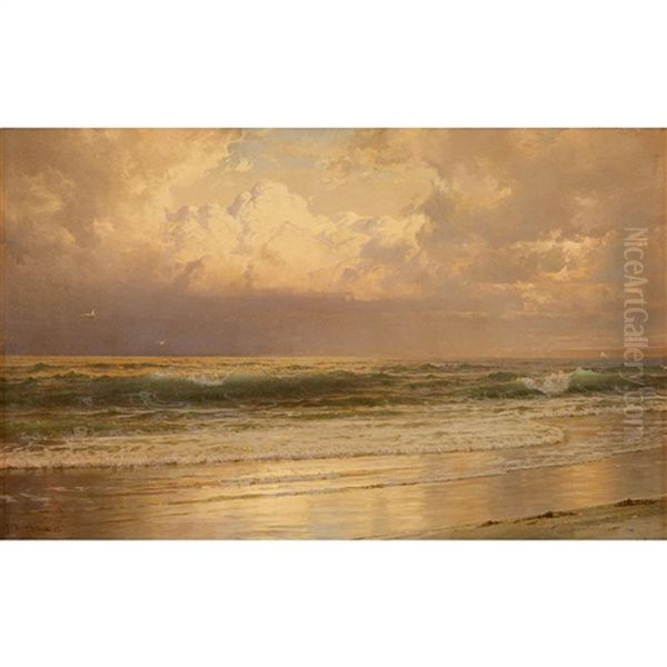Coastal Landscape At Dawn - view 1