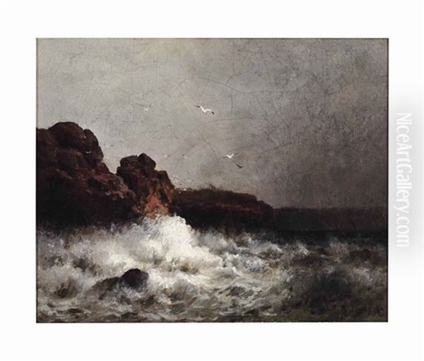 Birds Over Rough Seas - view 1
