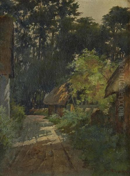 Shaded Path - view 1