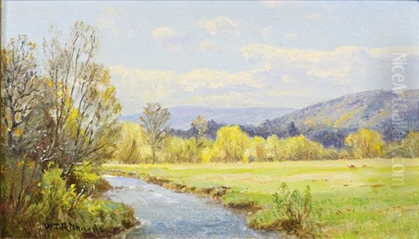 The Valley Stream - view 1