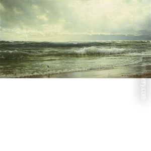 The Rising Tide The Rising Tide