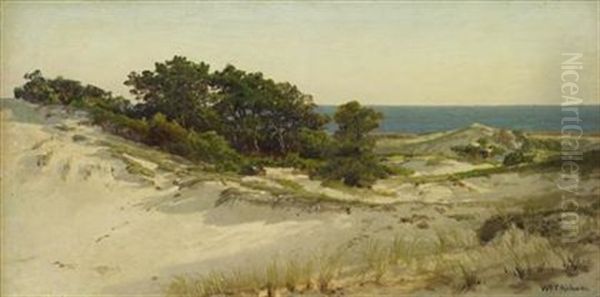 Dunes - view 1