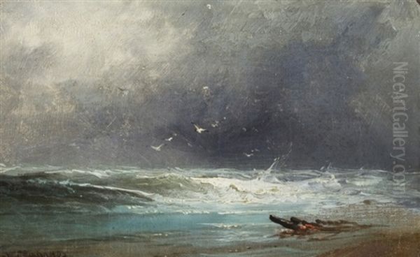 Stormy Shore - view 1