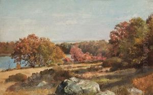 Thyme Field &amp; Cedar Swamp, Matunuck, Ri by William Trost Richards