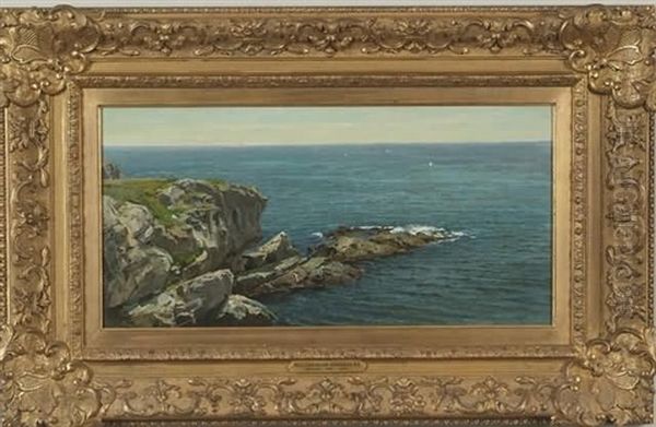 Rocky Coast, Spring Time - view 1