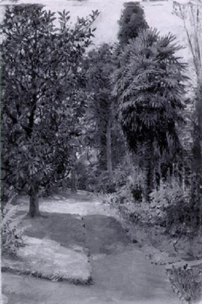 Sunlit Garden Path - view 1