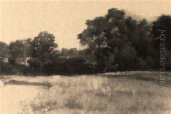 An American Landscape: Summer - view 1