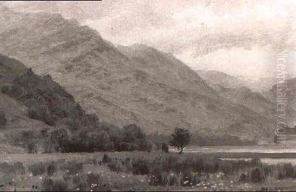 Landscape, Scotland - view 1