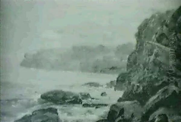 Rocky Shore - view 1