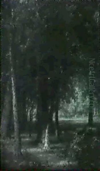 A Wooded Clearing - view 1