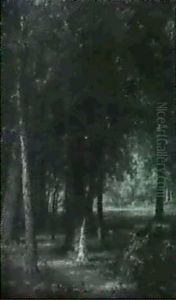 A Wooded Clearing
