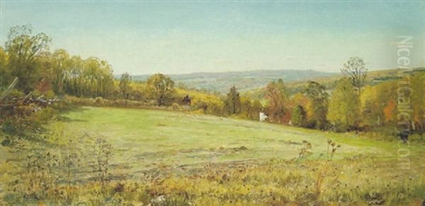 An Autumn Meadow - view 1