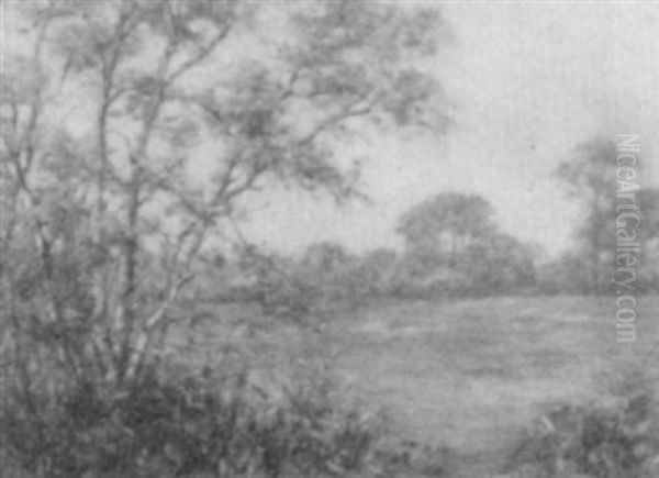 Hazy Day - view 1