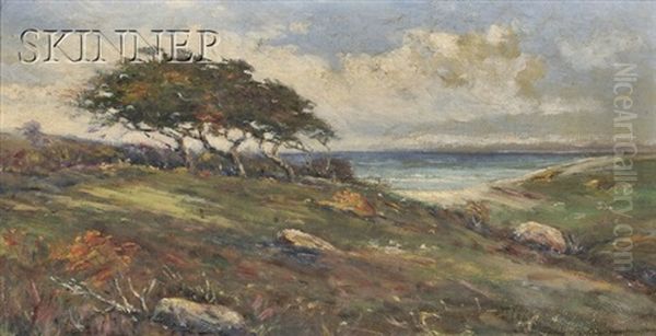 Coastal View With Windswept Pine (+ 2 Others; 3 Works) - view 1