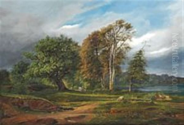A Danish Summer Landscape With A Storm Coming Up - view 1